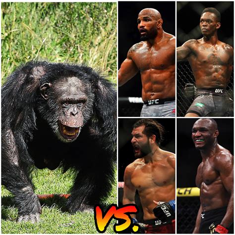 Masvidal was expected to face bobby green on november 3, 2012, at strikeforce: Angry Chimp Vs. Adesanya, Romero, Masvidal, and Usman. Who ...