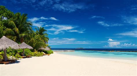 Beach wallpapers for 4k, 1080p hd and 720p hd resolutions and are best suited for desktops, android phones, tablets, ps4 wallpapers. Free download Beach Palm Trees 4K Desktop Wallpaper ...