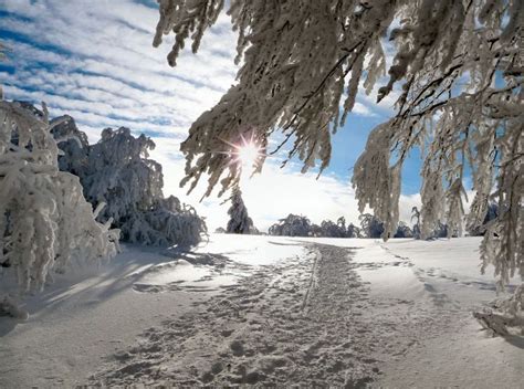 Le personnage principal s'appelle elsa. La montagne en hiver : les plus belles photos | Vosges ...