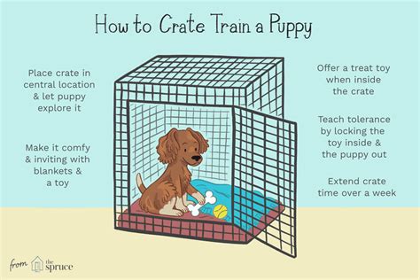 If you exercise your puppy with playtime that ends a bit before bedtime (you don't want to go straight from play to bedtime) and then give her a kong stuffed with peanut butter. Crate Training Your Puppy