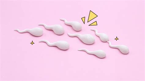 Seperti di rahim misalnya, sperma dapat bertahan hidup hingga 5 hari. Berapa Lama Sperma Mampu Bertahan di Dalam Rahim? Ini ...