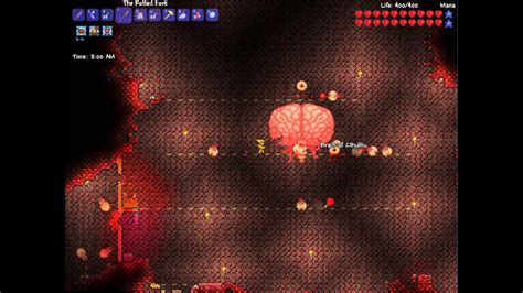 The brain of cthulhu can be spawned by fulfilling one of these conditions: Terraria MasterABC Guide #205 Brain of Cthulhu The Rotted Fork - YouTube