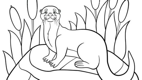 And this one is written by cosmo! Easy Otter Coloring Pages. Otter is a semi-aquatic animal ...