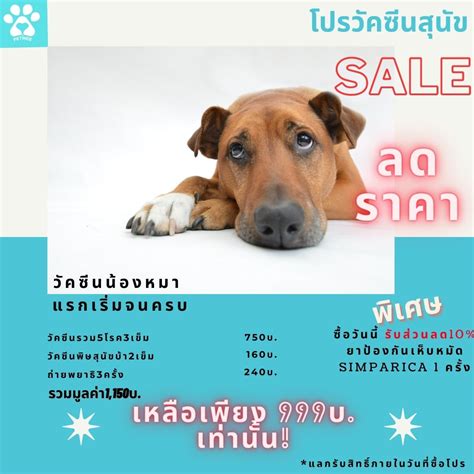 รวมทุก โปรเน็ตวันทูคอล จาก ais รายวัน ให้คุณได้เลือกแพ็กเกจที่อยาก สมัครเน็ตวันทูคอล ข้อมู. Pettinee "เพทที่นี่" แก้ปัญหาสุขภาพสุนัขและแมว สมุดวัคซีน ...