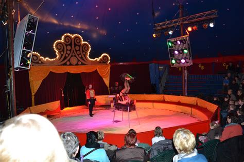 Ze staan momenteel in borgloon. Blog je rijk!: Circus Barones!