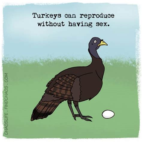 We did not find results for: Don't waste your time searching for Cheap diarex ! You can ...