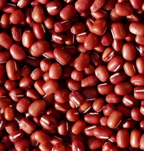 Vous trouverez sur ce blog des recettes gourmandes sans gluten ni lait (mais aussi souvent sans soja), faciles et vraiment bluffantes. Blog 75: Recettes Japonaises-Haricots rouges au sucre