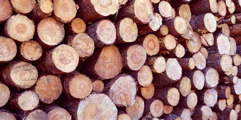 However, like backwoods savage said, that particular state game area has small parcels of private land within it. Chicago Firewood