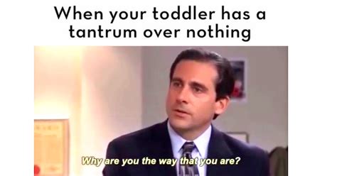 27 Memes That Perfectly Nail What It's Like To Parent A ...