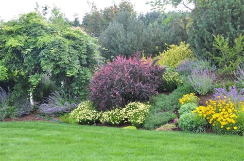 Find them in federal way's rhododendron species foundation and. Pacific Northwest Gardening forum: July Flowers/foliage ...