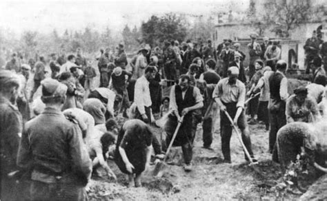 1,8 millions de juifs ont été fusillés et amassés dans des énormes fosses dans l'est de l'europe. Shoah par balles : L'histoire oubliée, la shoah par balles ...