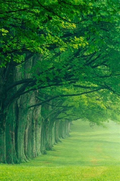 We hope you enjoy our growing collection of hd images to use as a. 50+ Nature Wallpapers HD For Free Download
