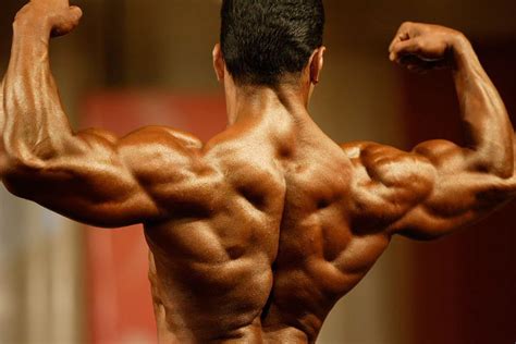 Let's just call this the accelerated beginner's guide to bodybuilding. Round One - Compulsory Poses: Back Double Biceps!