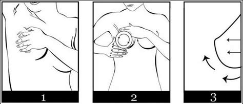 Balik ke topik awal, sebenarnya ada cara sederhana bagi kaum hawa jika ingin memperbesar payudara. Infojelita: 15 Tips Teknik Urutan Payudara