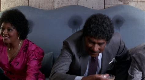 Does anyone have a gif of the scene from coming to america where darryl's family gets off the. How (and why) to Ramble On your domestic shorthair - Page ...