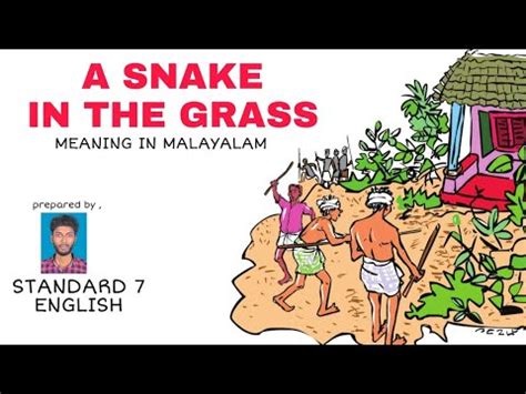 The phrase a snake in the grass denotes a treacherous person or harmful thing that is hidden or seemingly harmless. A SNAKE IN THE GRASS MEANING IN MALAYALAM | STANDARD 7 ...