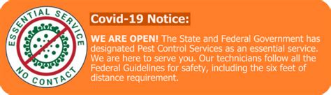 Hiring a professional for pest control service does not mean you can just simply call for service, then sit back and wait. Active Termite & Pest Control Inc Services - California