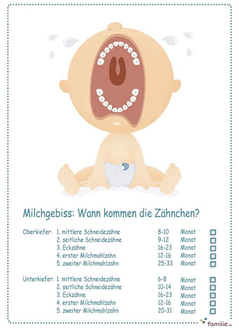 Ihr welpe setzt überall seine zähne ein, manchmal um einiges intensiver, als sie das für notwendig erachten. Milchgebiss: Wann kommen Babys Zähne? | familie.de | Baby ...