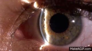 Sieh dir an, was melok (melok0629) auf pinterest, der weltweit größten sammlung von ideen, entdeckt hat. Anatomia del ojo - Centro de Oftalmología Bonafonte on Make a GIF