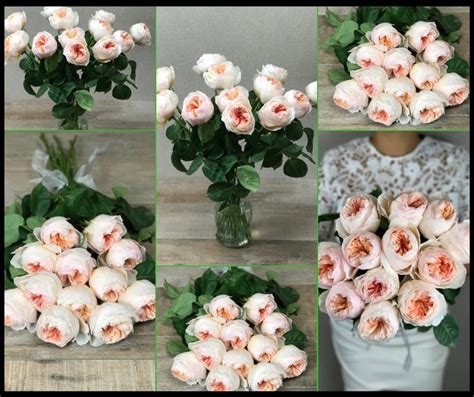 Check spelling or type a new query. Beautiful Flower Bouquets | Same day Flower Delivery ...