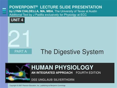 PPT - The Digestive System PowerPoint Presentation, free ...