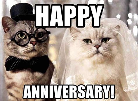 Find and save anniversary memes for wife memes | from instagram, facebook, tumblr, twitter & more. Most Trending and Funny Wedding Anniversary Meme | by Generatestatus | Medium