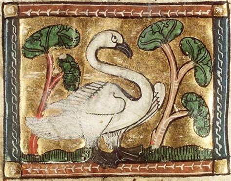 See more ideas about drawings, medieval art, medieval manuscript. medieval bestiary - Buscar con Google | Medieval art, Fairytale illustration, Animal paintings