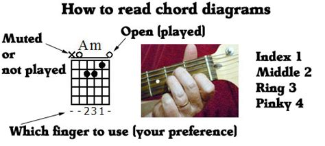 I'd say i'm half fluent in french conversationally but still deeply rooted in english. Beginner guitar chords - Basic guitar chords that everyone ...