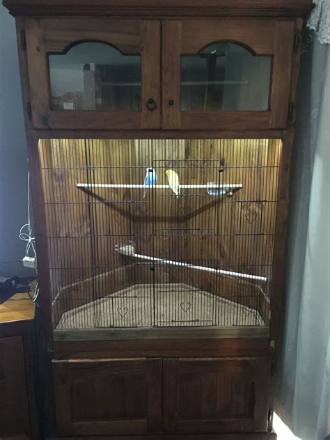 Wondering what's the best parakeet cage for your sweet birdies? This is a budgie/bird cage/aviary that my husband an I made from an old T.V unit. Reduce, reuse ...