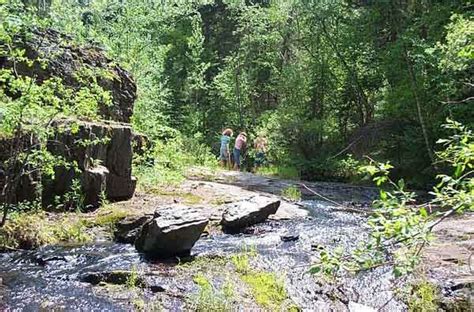 Button group with nested dropdown. Black Hills Cabin Rentals in Silver City South Dakota ...