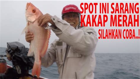 Rp 145.000.000 2014 hilux single cabin solar 4x2. MANCING KAKAP MERAH TEPAT DI SARANGNYA, STRIKE BESAR - YouTube