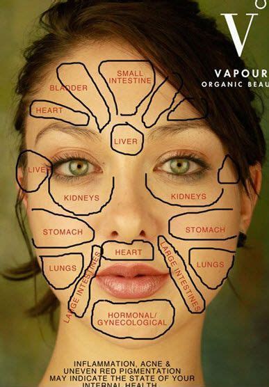 Face mapping verrät dir, was die position eines pickels über deine gesundheit aussagt Pickel-Bedeutung (mit Bildern) | Gesicht, Pickel im ...