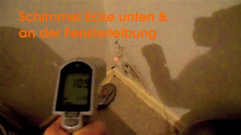 Stecht mich halt, aber lass mich endlich schlafen! Schimmelpilzbeseitigung bei Schimmel in der Wohnung - YouTube