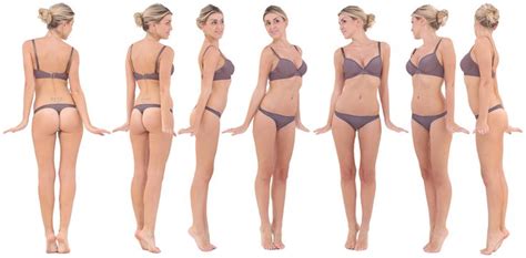 Fema torso anatomy reference for artists to show the model. ab5cf73d9f648933c0630c0a8b9f7737.jpg (2142×1057) | Anatomy ...