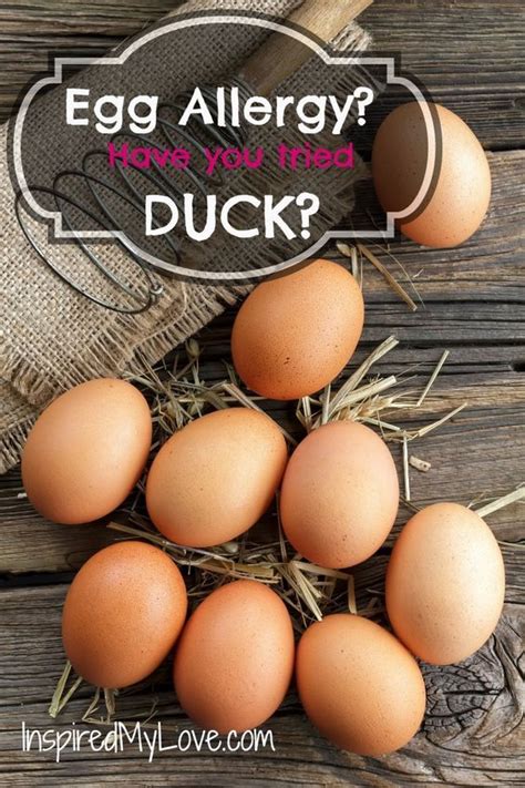 People with an allergy to chicken eggs may also be allergic to other types of eggs, such as goose, duck, turkey or quail. Duck vs Chicken Eggs, Which is better. | Eggs, Egg allergy ...