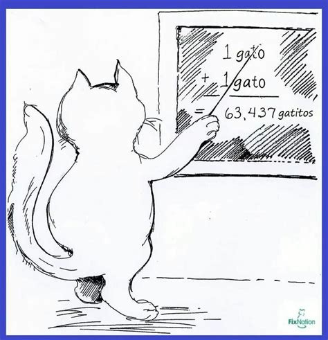 A discussion with you about your concerns, thoughts, or questions surrounding euthanasia. Pin on Cat Around