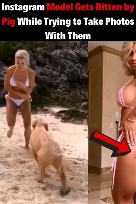 Really funny one liners about truths ~ truth jokes. Instagram Model Gets Bitten by Pig While Trying to Take ...