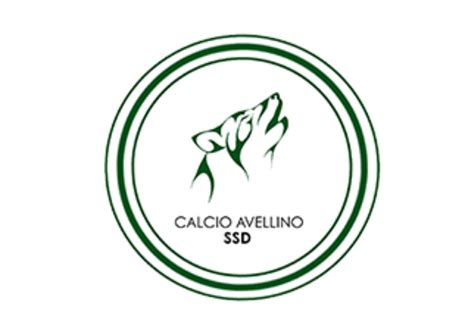 L'avellino ha disputato una grande partita. Calcio Avellino, online il nuovo portale - Bassa Irpinia ...