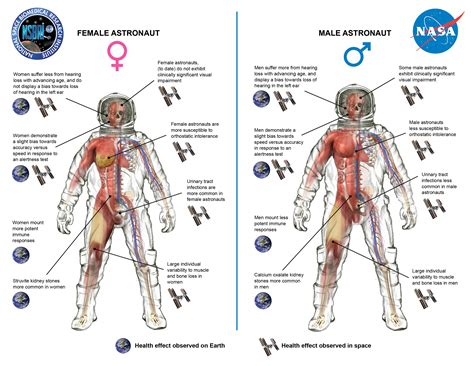 Human body men and women. How does space affect men and women differently? | PBS ...