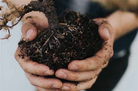 Installing your own synthetic lawn is fairly straightforward. How to Install Artificial Grass on Soil (Step-By-Step Guide)