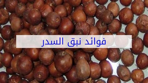 كما قلنا الملح له طاقة عجيبة في سحب العكوسات ولو كان الأمر مع استخدام السدر فهو أيضا نافع , و يجب أن يكون التطبيق السليم للوصفة ليتم قتل حارس السحر بأسرع وقت , فنحن نعلم أن السحر يتم الخلاص منه باستخدام 7 اوراق من السدر وطحنها. ‫فوائد نبق السدر‬‎ - YouTube