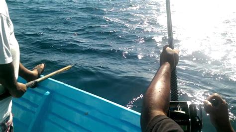 Villa bahia is just the spot for a laid back exploration of bahia de los angeles. Bahia de los angeles 2014 - YouTube