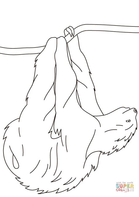 Search images from huge database containing over 1,250,000 drawings. Sloth Hanging on Branch coloring page | Free Printable ...