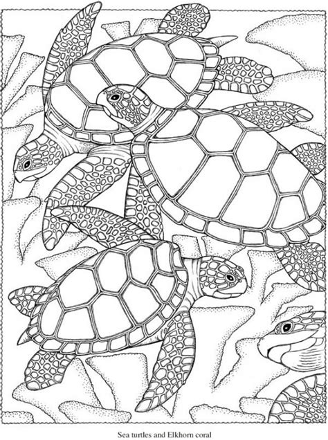 See more ideas about coloring pages, turtle coloring pages, ninja turtle coloring pages. Freebie: Sea Turtle Coloring Page - Stamping