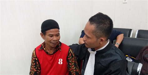 Warnanya hijau atau merah tengguli. Mau Tanam Ubi di Lahan Sengketa dengan Perusahaan, Orang ...