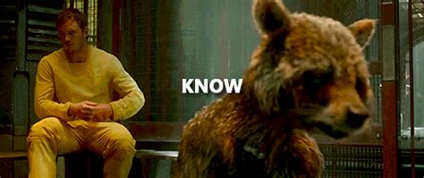 I am the truth beyond concept of truth.i am prior. rocket raccoon | Tumblr (With images) | Rocket raccoon, Raccoon, Rocket