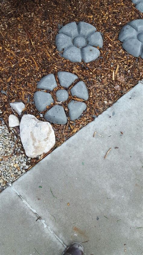 How to ship flowers to someone. Concrete flower. From chip dip dish. | Dip dish, Outdoor ...