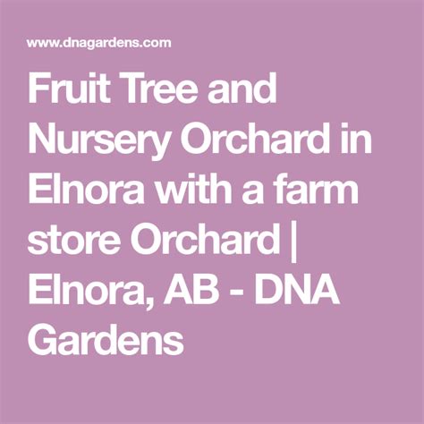Combination of a horticulture degree from michigan state university and a lifetime experience as a fruit farmer that provides a vital link between the nurseries, growers, wholesalers, retailers and consumers. Fruit Tree and Nursery Orchard in Elnora with a farm store ...