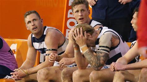 The 2010 geelong football club season was the club's 111th season in the australian football league (afl). AFL Finals 2018, Geelong Cats player ratings against ...