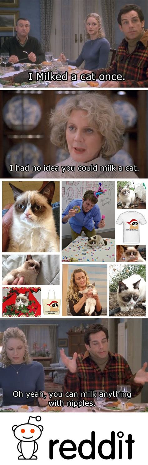 Reddit gives you the best of the internet in no shitposting, trollposting, or asking troll questions ex. Grumpy Cat's Owner Understands How Reddit Works... : funny